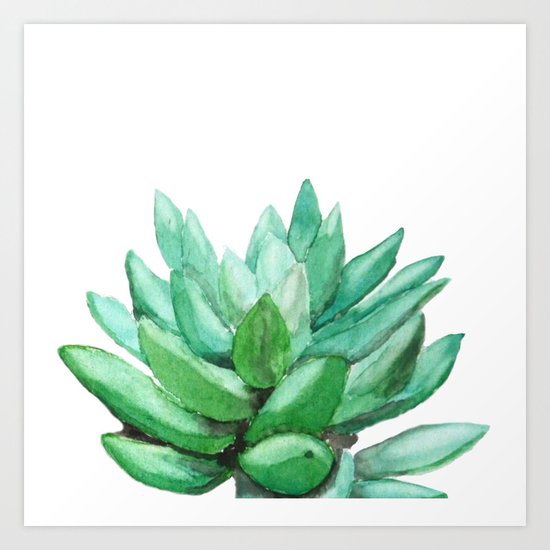 succulent echeveria Art Print