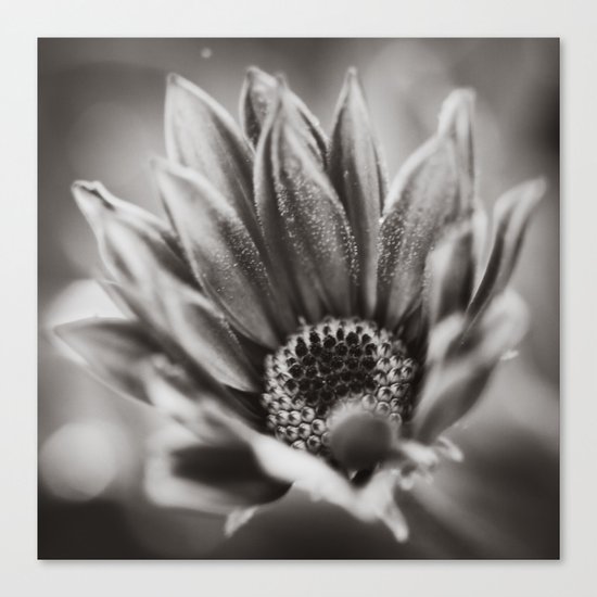 Flower in Black and White Canvas Print