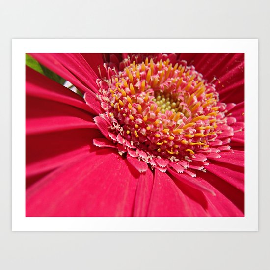 Pink Art Print