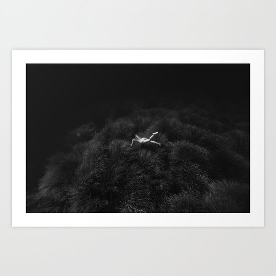 160814-8172 Art Print