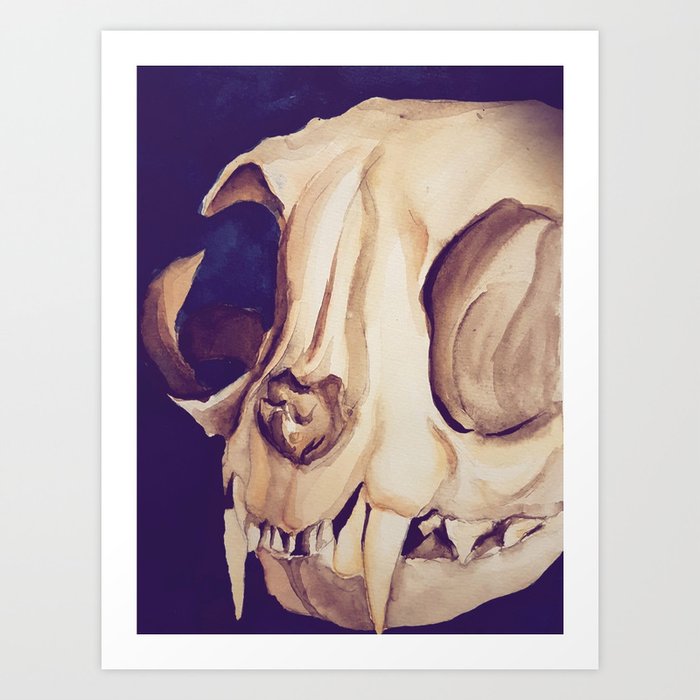 The skull of a cat Art Print