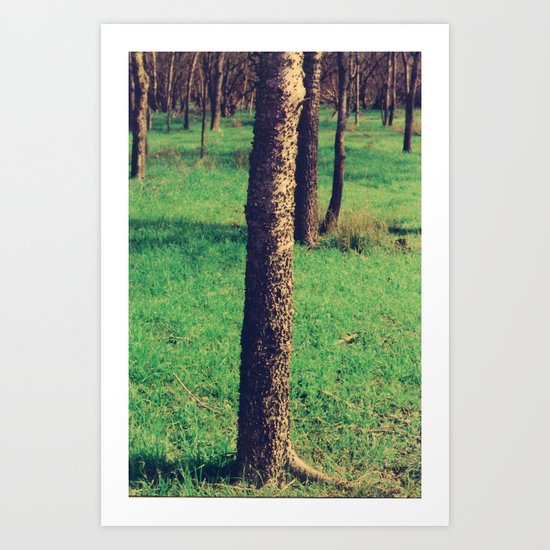 Silvan Art Print