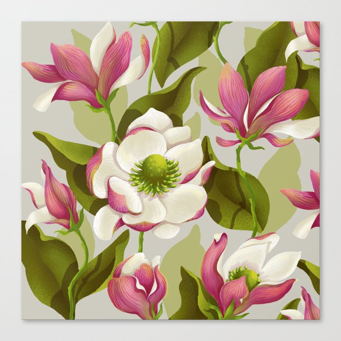 magnolia bloom - daytime version Canvas Print