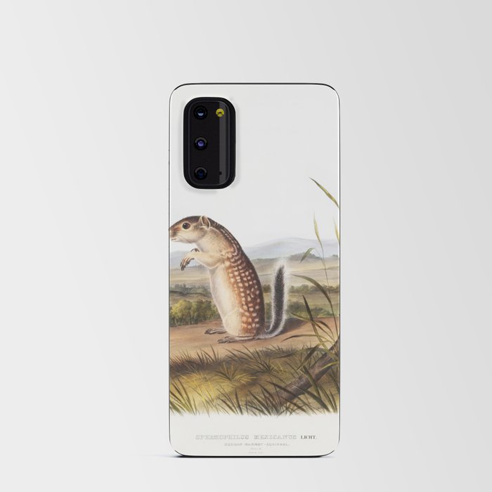 Mexican Marmot Squirrel  from the viviparous quadrupeds of North America (1845) illustrated by john james audubon Android Card Case