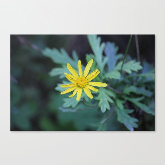 Sign of Life Canvas Print