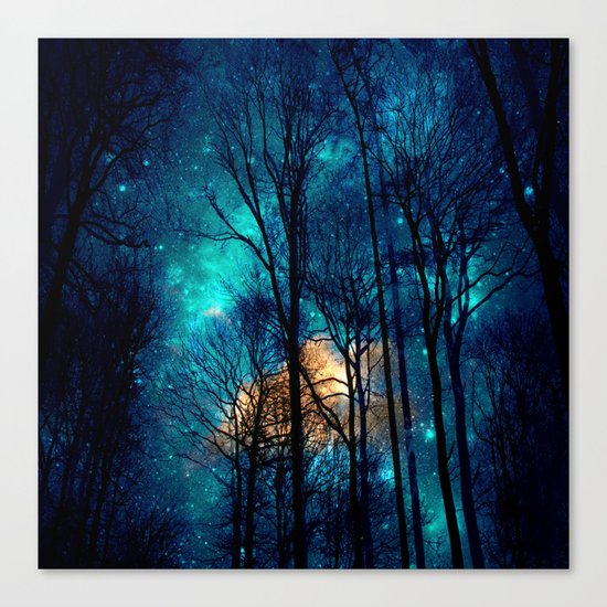 starry night Canvas Print