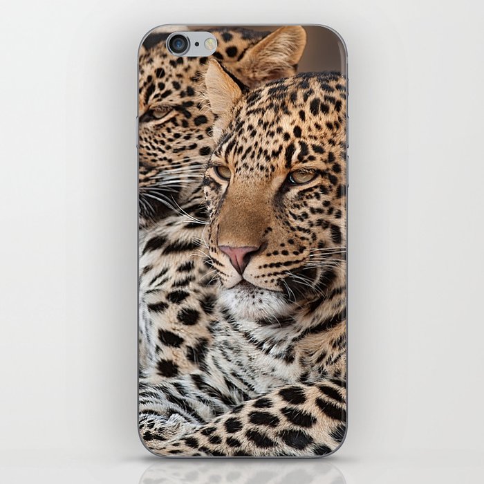 South Africa Photography - Two Beautiful Leopards iPhone Skin