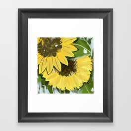 Sunflower Square Framed Art Print