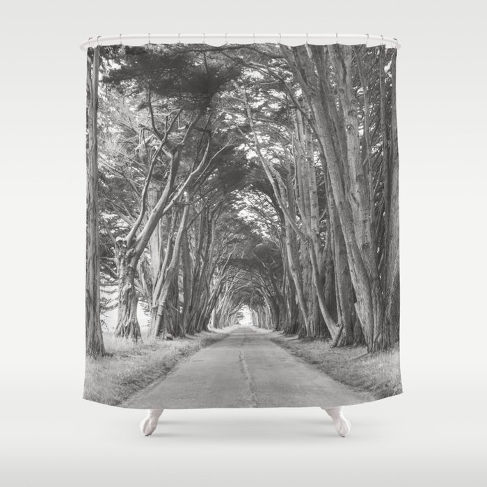 Cypress Tree Tunnel - Nature Photography Shower Curtain
