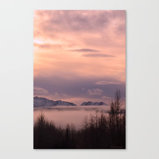 Rose Serenity Winter Fog - II Canvas Print