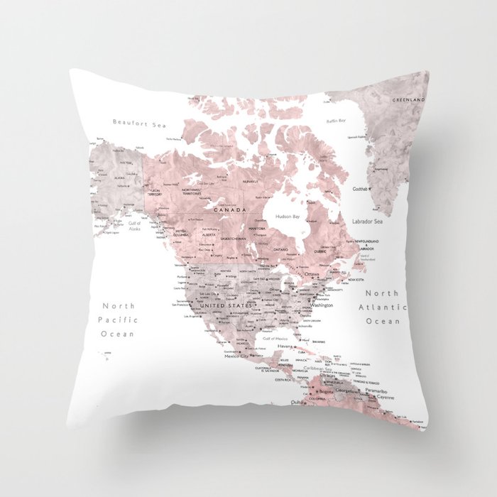 Throw Pillow
