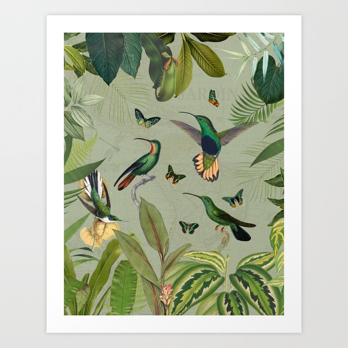Exotic Hummingbirds Vintage Jungle Art Print