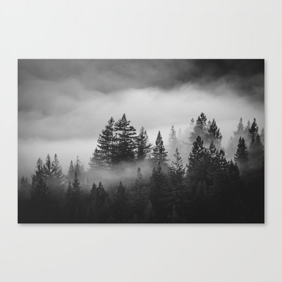 Forest of Fog Canvas Print