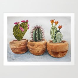 Three Cacti in Pots Art Print