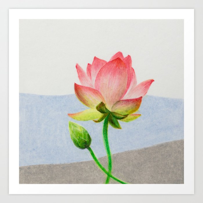 Blooming peach lotus 1 Art Print