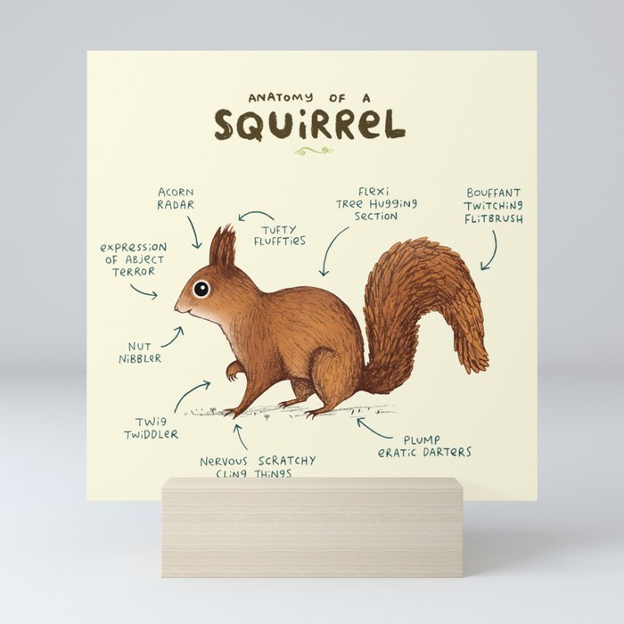 Anatomy of a Squirrel Mini Art Print