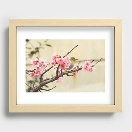 Sakura Recessed Framed Print