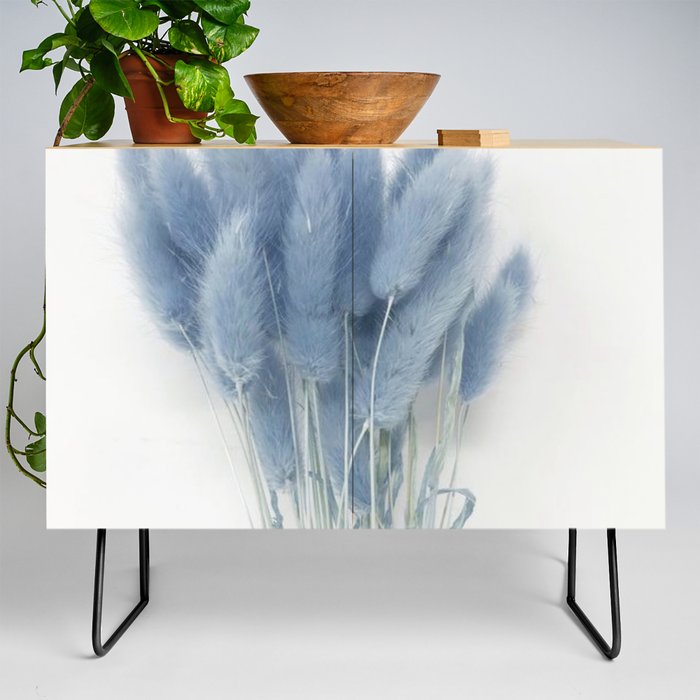 Blossom by blossom the spring begins. Credenza