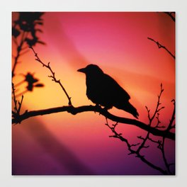 Perched In The Sunset  Canvas Print