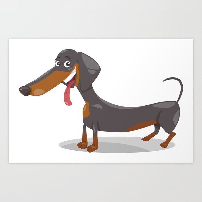 Purebred dachshund top