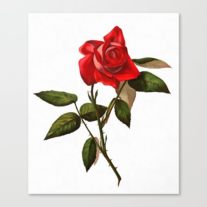Artistic Single Stem Red Rose Canvas Print