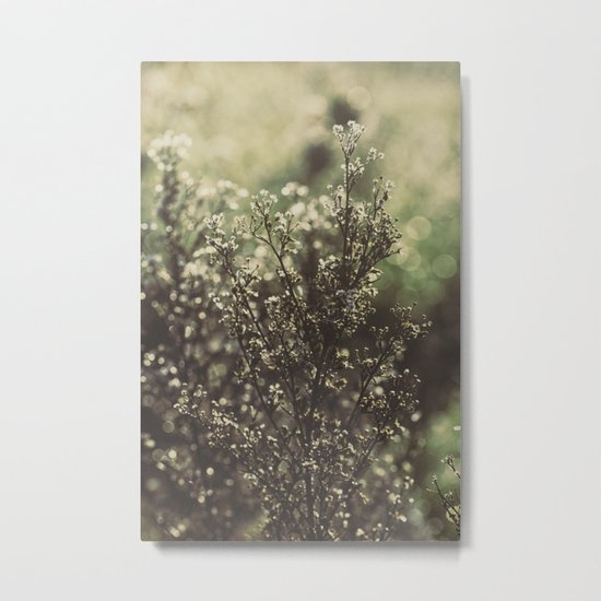 weeds Metal Print
