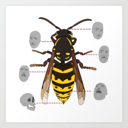 Anatomy of the Bee Art Print