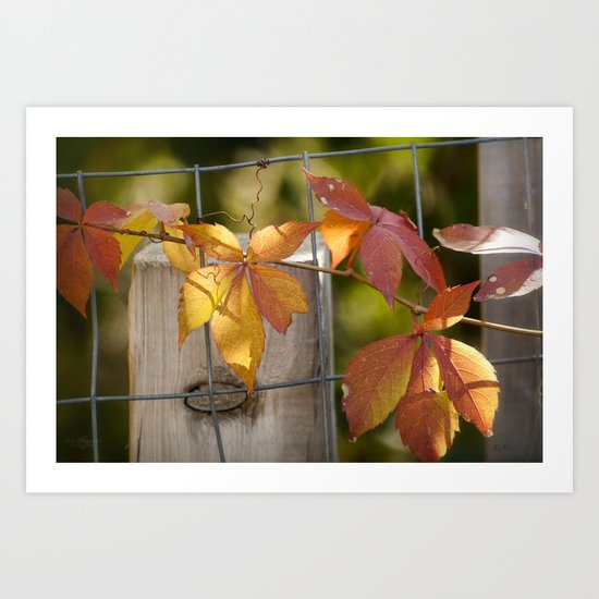 Holding on to the Warmth Art Print