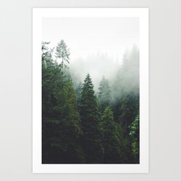 372. Cloudy Capilano forest, Vancouver, Canada Art Print | Bridge, Vancouver, Capilano, Moutain, Greenery, Explore, Forest, Nature, Trail, Pine 