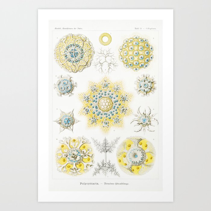 Art Print