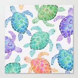 Sea Turtle - Colour Canvas Print