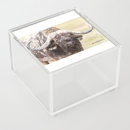 AFRICAN BUFFALO EYES Acrylic Box