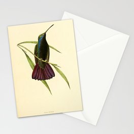 Mango Hummingbird by William Swainson, 1841 (benefitting the Nature Conservancy) Stationery Card