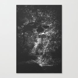 I have to start looking at the stars Canvas Print