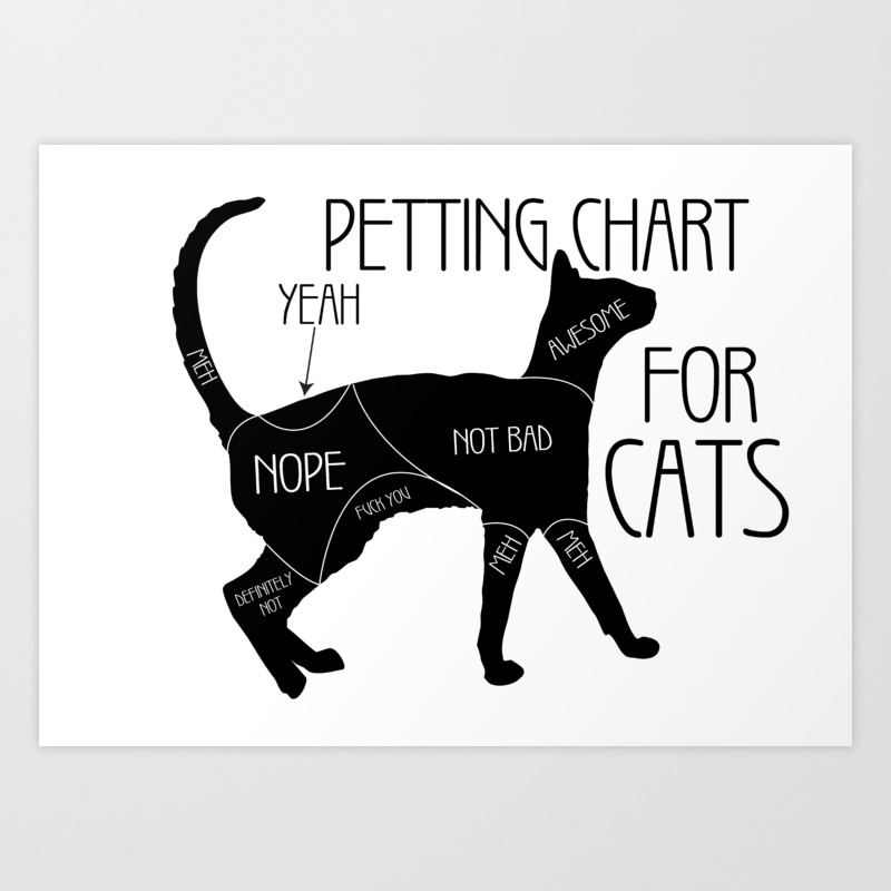 Peting Chaf Funny Cat Saying Art Print By Tillhunter Society6
