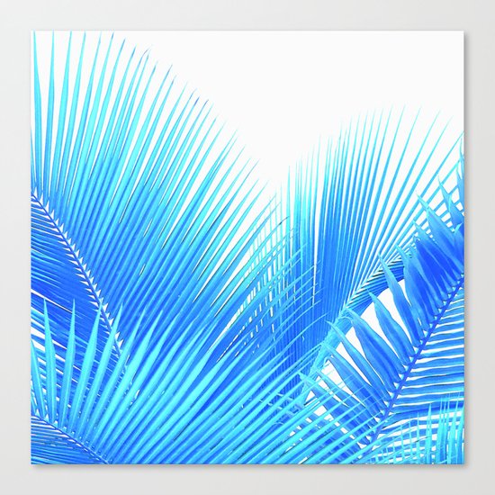Winter Palm Canvas Print