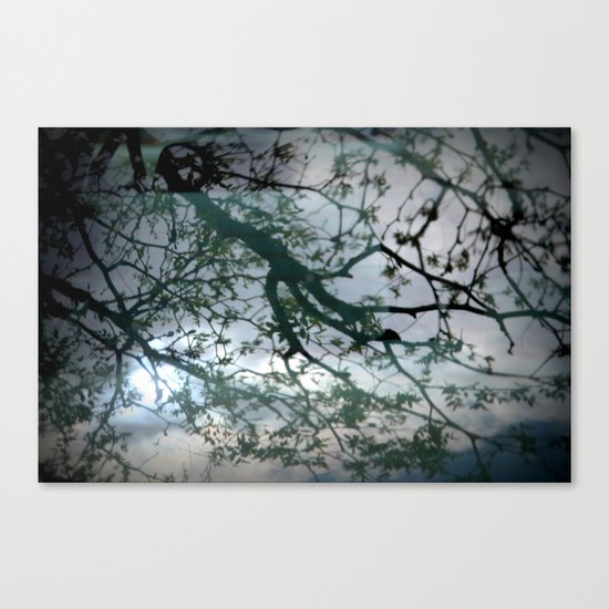 tree mystery Canvas Print