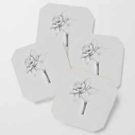 Daffodil Coaster