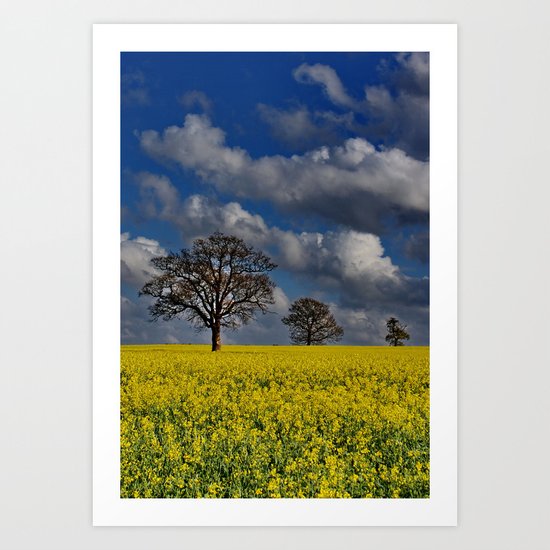 Yellow Field Art Print
