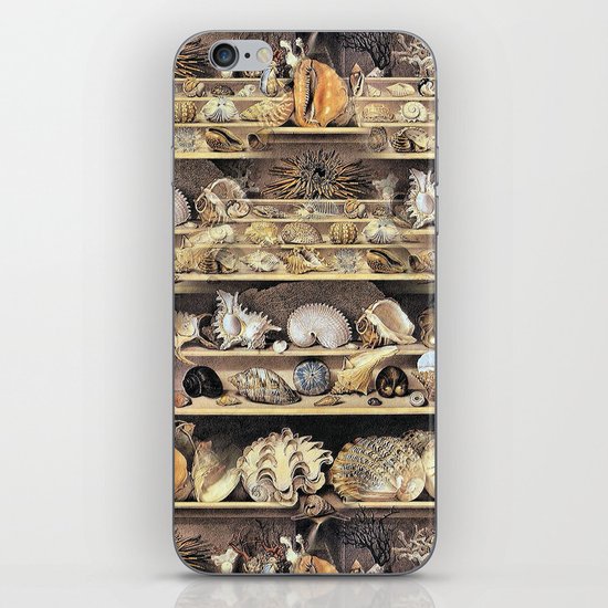 Vintage Shell Collection iPhone Skin