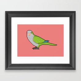 Pixel / 8-bit Parrot: Green Quaker Parrot Framed Art Print