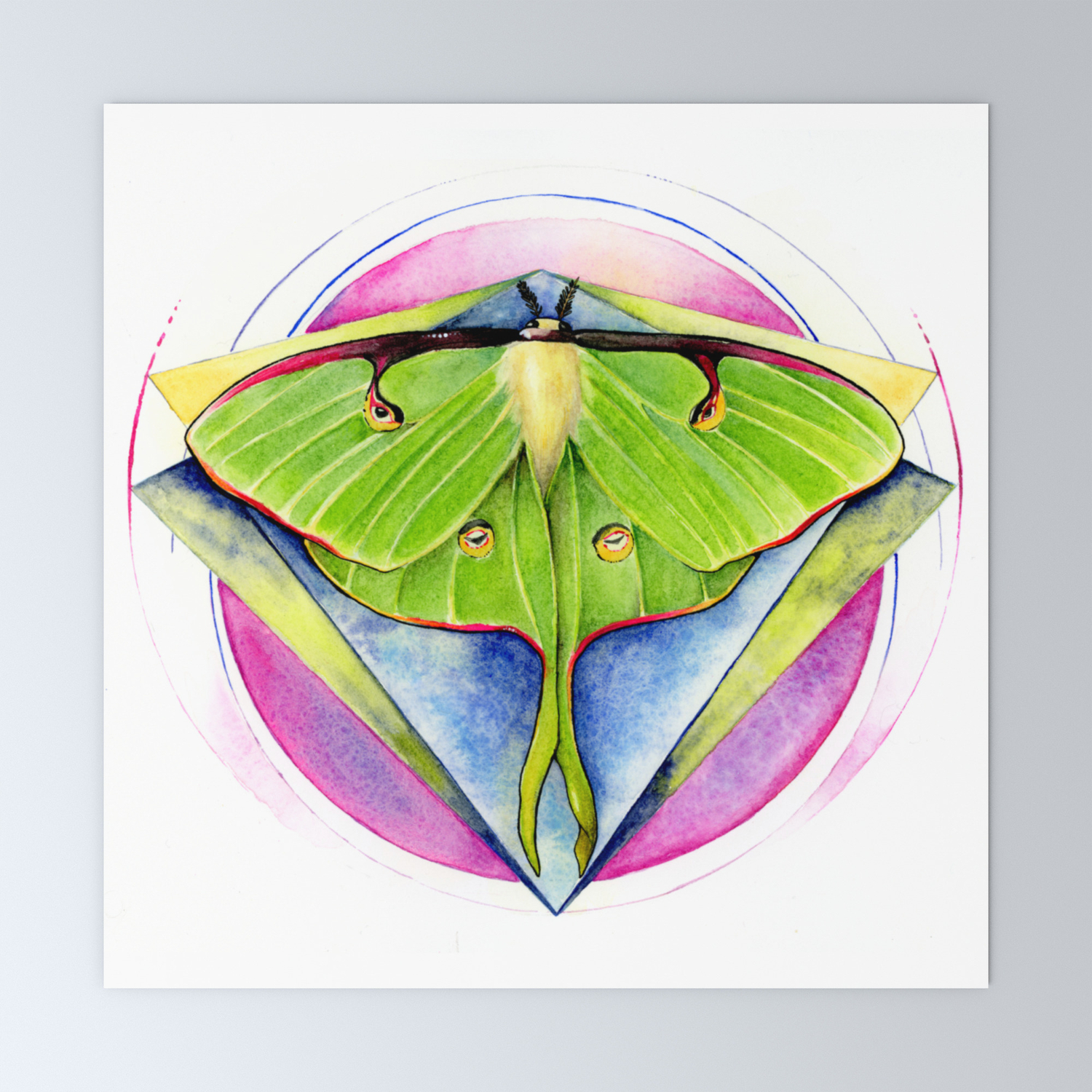 Actias Luna Luna Moth Mini Art Print By Gildedwhiskers Society6,Side Profile Reference Drawing Female