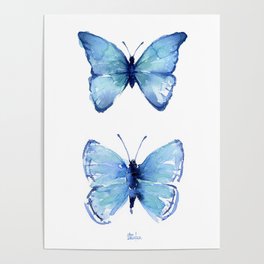 Two Blue Butterflies Watercolor Poster