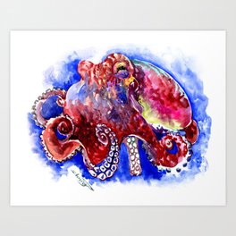 3dRose lsp_183752_1 Print of Painting of Giant Octopus Attacking Ship in Victorian Times Light Switch Cover 3dRose lsp_183752_1 Print of Painting of Giant Octopus Attacking Ship in Victorian Times Light Switch Cover