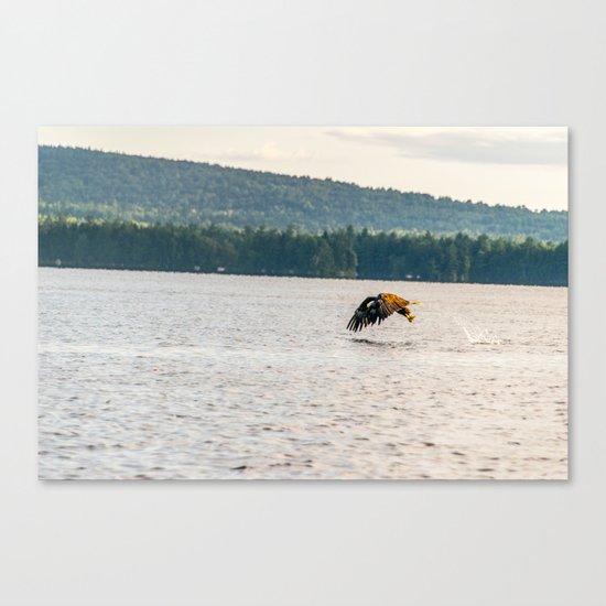 Master Fisher Canvas Print