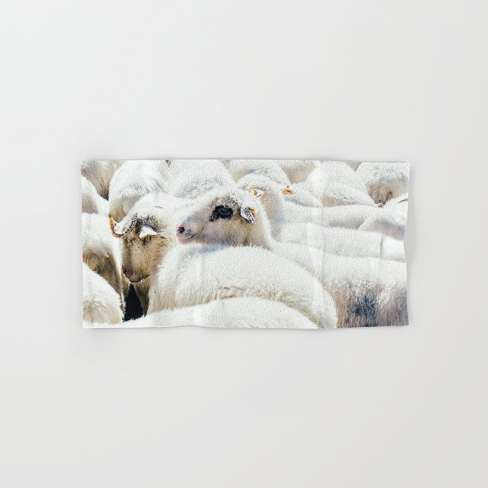White Sheep Flock | Farm Animal Photography | Spring Nature Photo Hand & Bath Towel
