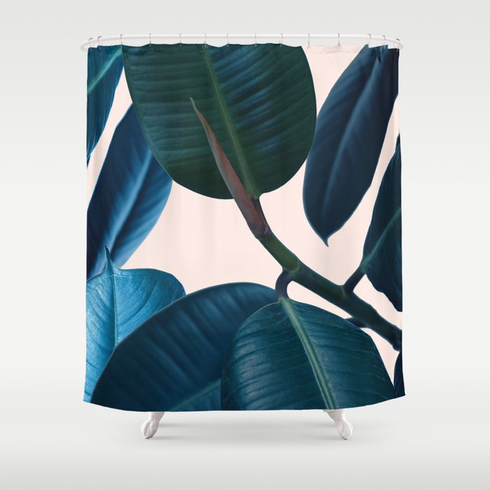 Ficus elastica 2 Shower Curtain