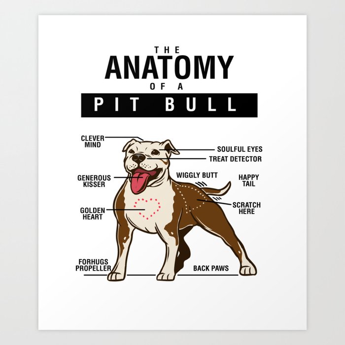 society6