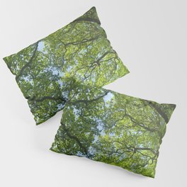 New Forest Beech Canopy Pillow Sham