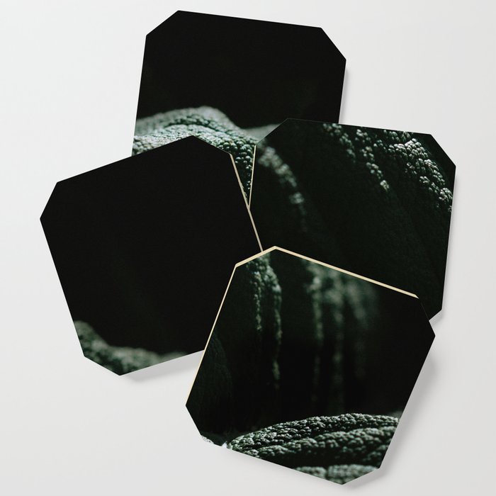 Minimalist And Moody Mammoth Leaf Plant - Gunnera Manicata Coaster